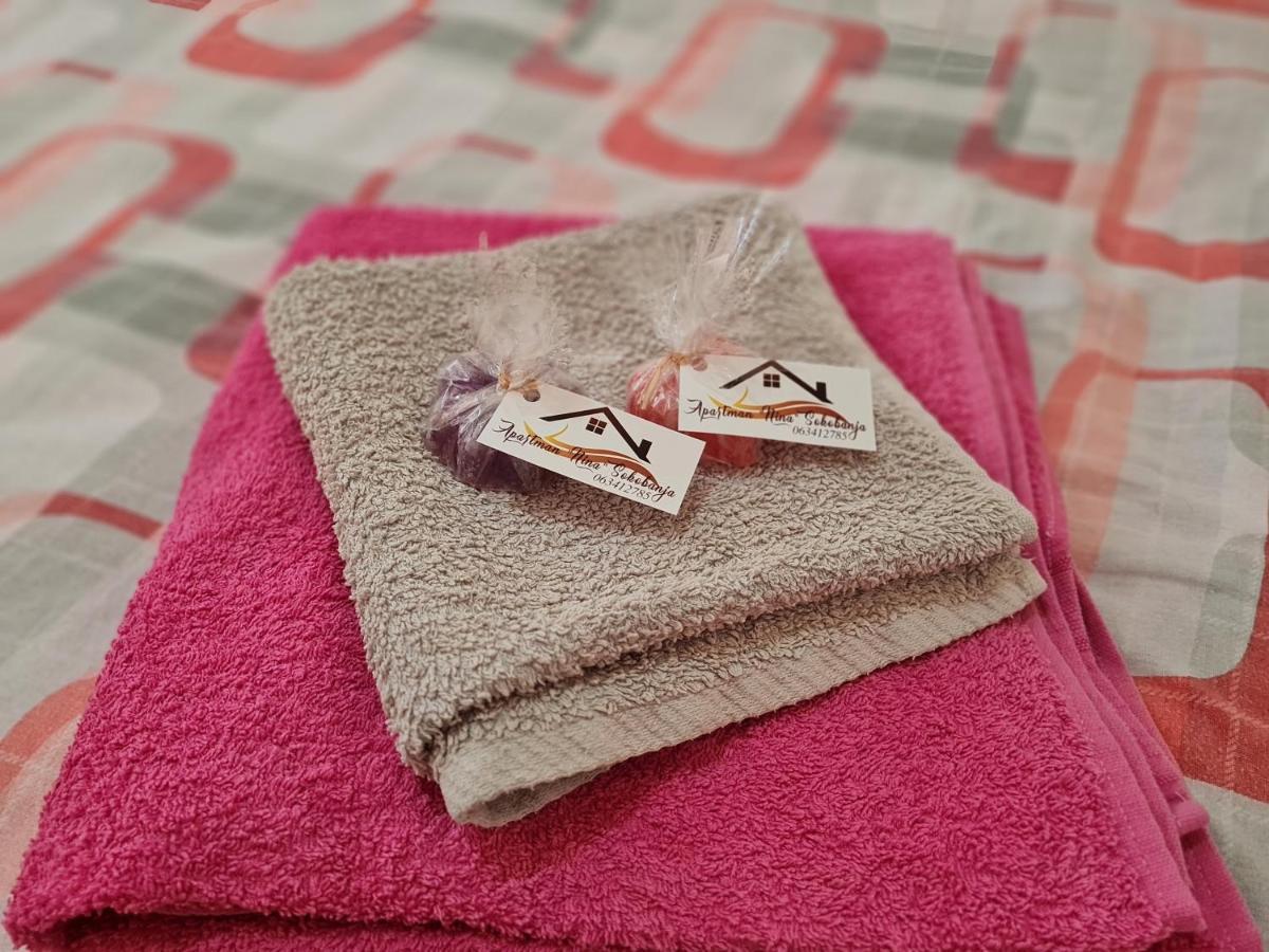סוקו בניה Apartman "Nina" מראה חיצוני תמונה